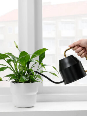 product_megamog_01_8